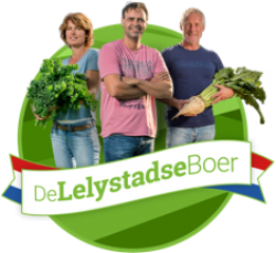 lelyboer-logo